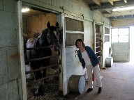 種牡馬というより功労馬ミスタートウジン